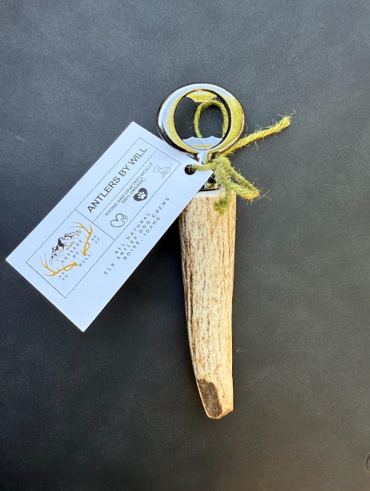 Antler Bottle Opener