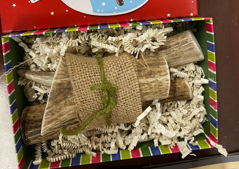 Bundle Pack Dog Chews