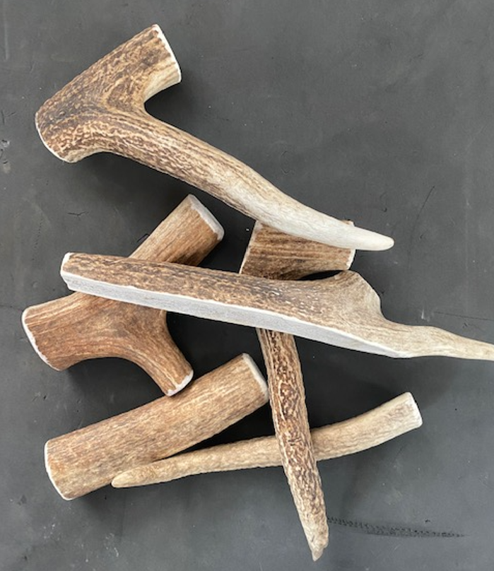 Difference between split vs whole antlers