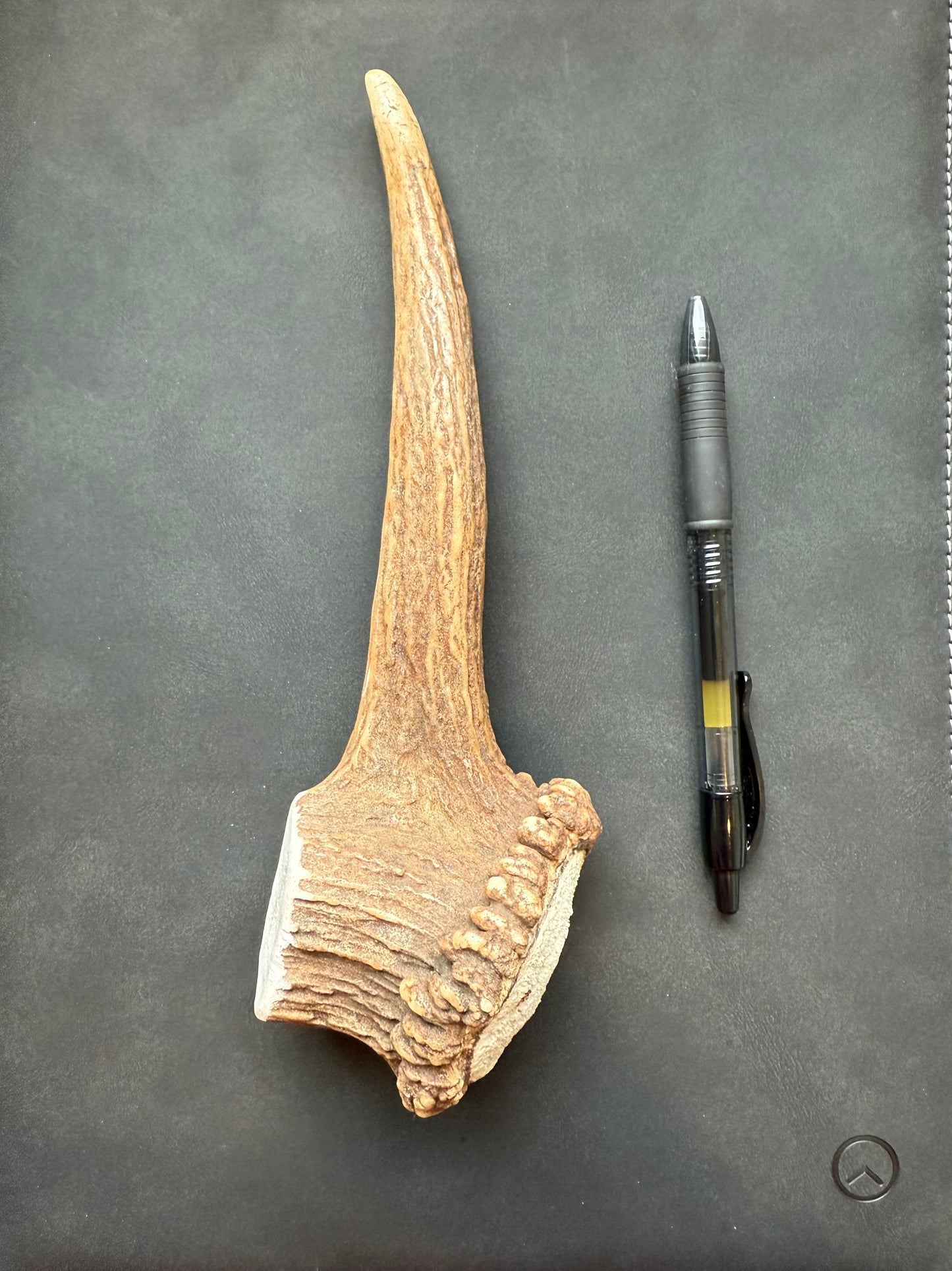 Dog Antler Chews