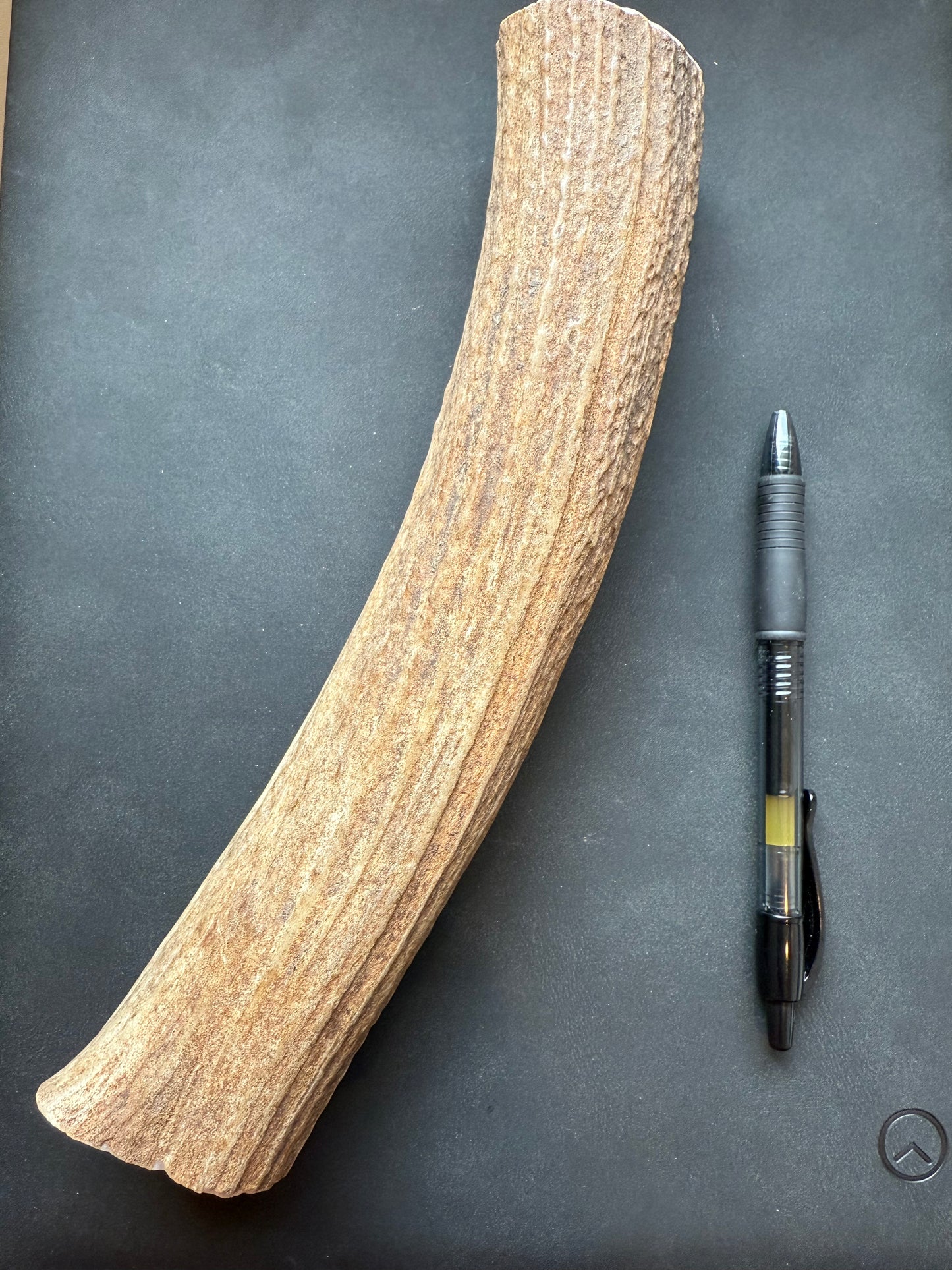 Dog Antler Chews
