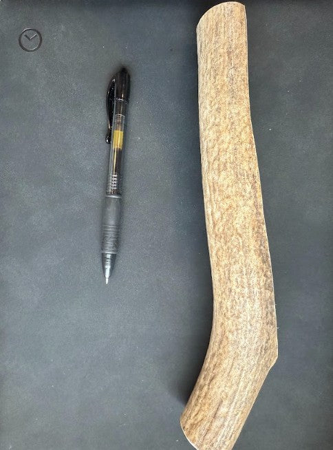 Dog Antler Chews