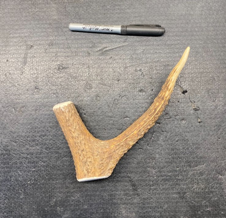 Dog Antler Chews