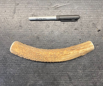 Dog Antler Chews