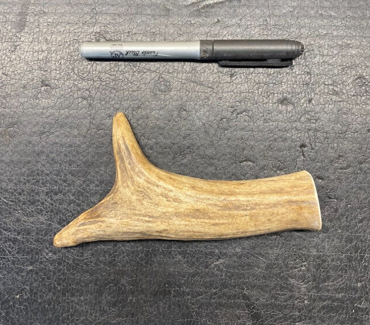 Dog Antler Chews