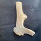 Dog Antler Chews