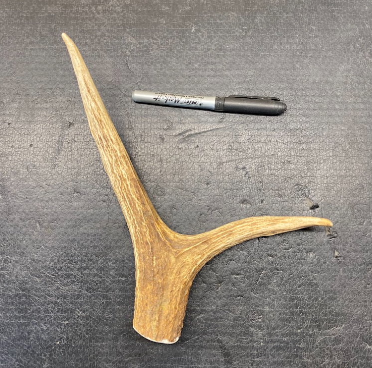 Dog Antler Chews