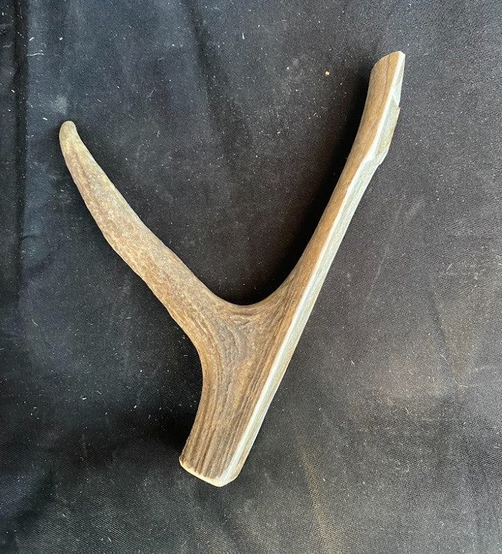 Dog Antler Chews