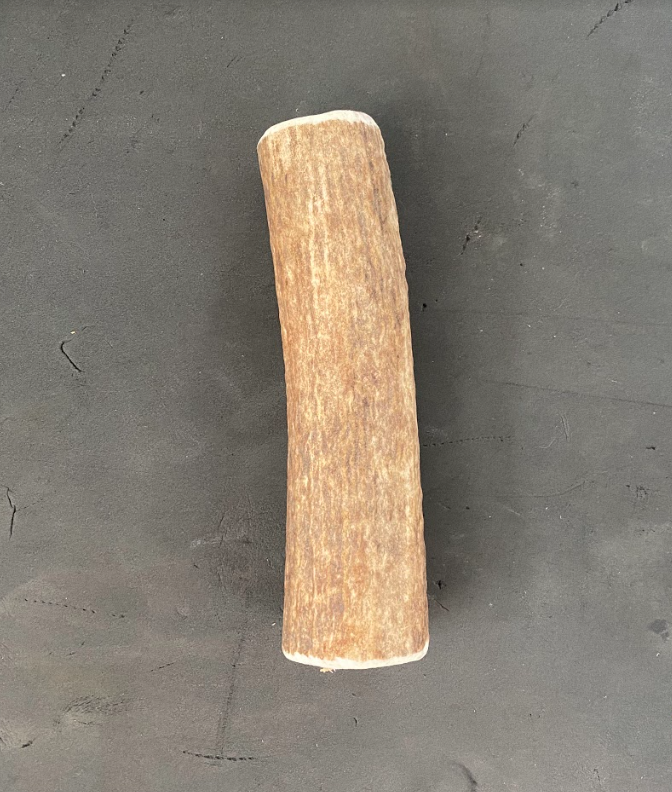 Dog Antler Chews