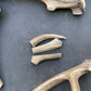 Dog Antler Chews