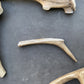 Dog Antler Chews