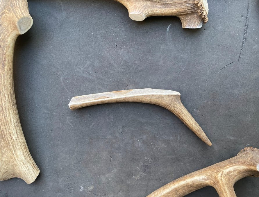 Dog Antler Chews