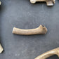 Dog Antler Chews