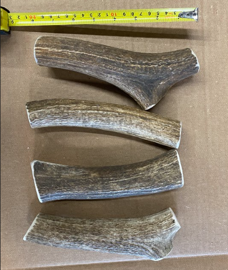 Dog Antler Chews